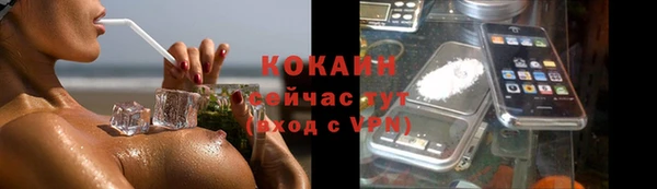 дживик Алексин