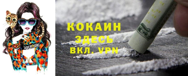 дживик Алексин
